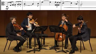 Viola Solos That Made My Quartet Smile