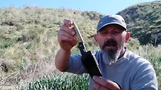 cortando espárragos silvestres. con mi cuchillo IZULA.