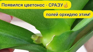 Обязательно ПОЛИТЬ ОРХИДЕЮ этой подкормкой когда появились ЦВЕТОНОСЫ ОРХИДЕИ || Для ЦВЕТЕНИЯ ОРХИДЕИ