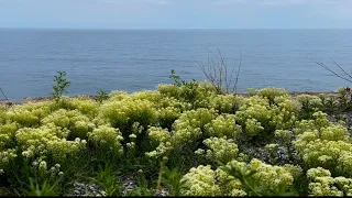 🦋НЕ КОНЧАЕТСЯ СИНЕЕ МОРЕ #крым #море #буланова