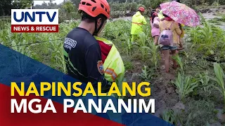 Pinsala ng Bagyong Paeng sa agrikultura, nasa P49.54M na