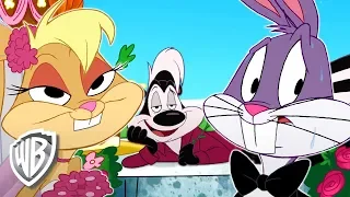 Looney Tunes en Latino | La boda de Bugs Bunny | WB Kids