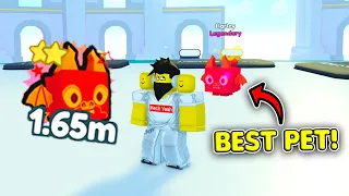 How to EASILY get the NEW BEST PET in Pet Simulator X! (Rainbow Samurai Dragon)