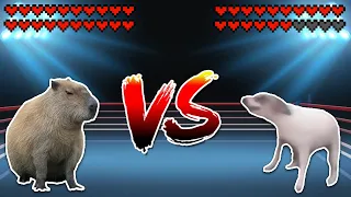 Capybara vs Dancing Dog! Meme battle