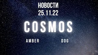 Космос новости от 25.11.22. AMBER. DOG. KING