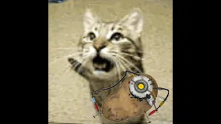 (Meowsynth) Want you gone - Portal 2