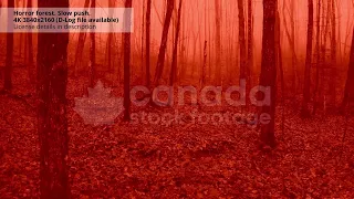 4K stock footage video | Horror movie forest. Misty blood tinted trees. | canadastockfootage.com