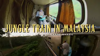 Jungle Train Ride in Malaysia! Travel KL ke Kelantan naik Sleeper Train (Cinematic)