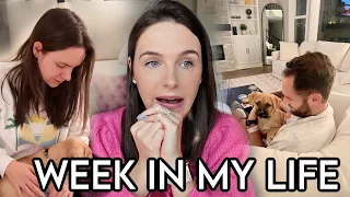 week in my life: new job, puppy updates + trying to find a routine