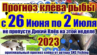 Прогноз клева рыбы на Эту неделю с 26 Июня по 2 Июля Календарь клева рыбы Лунный календарь рыбака