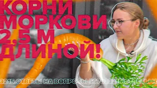 ПЕРЕКОПКА ГРУНТА УНИЧТОЖАЕТ БАКТЕРИИ?! Ответы на вопросы!