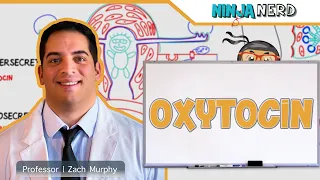 Endocrinology | Oxytocin