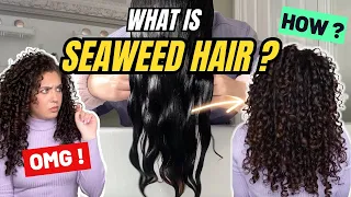 What is Seaweed Hair? A Viral Method for Natural Curly Hair Styling | Wash & Styling Demo Included