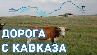 Возвращение с Кавказа #11 / Где самые плохие дороги в России? / Автостопом через Кавказ