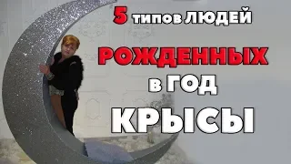 5 ТИПОВ КРЫС. ДЕРЕВЯННАЯ КРЫСА, ОГНЕННАЯ КРЫСА