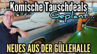 Opel Calibra Blindkauf bei Tageslicht… Wie schlimm ist es wirklich? & Güllehalle 2.0, Michi baut an!