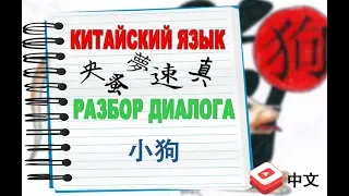 Китайский язык разбор текста. Практический урок китайского языка