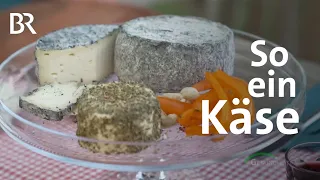 Käse: Wie gesund ist das beliebte Lebensmittel? | Gesundheit | BR