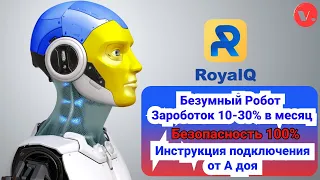 Royal Q торговый крипто-робот / Инструкция подключения к Binance / Заработок 10-30% в месяц