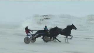 Приз имени Прилепского конного завода