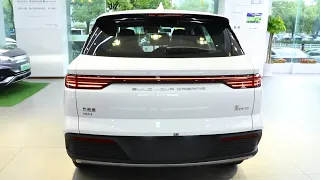 2023 BYD Song Pro DM-i in-depth Walkaround