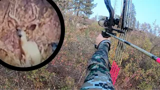I MISSED A HUGE BUCK! | 2021 CA D-Zone Archery Deer/Bear Hunt Pt. 1 (Opening Day)