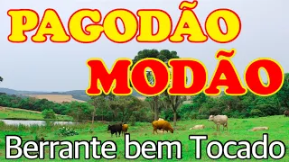 PAGODÃO E MODÃO DE VIOLA - BERRANTE BEM TOCADO ARREBENTA NO MUNDO CAIPIRA