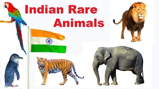 Top 20 Indian Rare Animals 2022