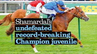 Earthlight - Shamardal's undefeated record-breaking Champion juvenile