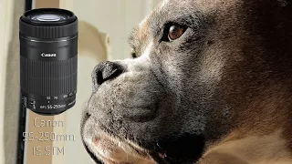CANON 90D/EF-S 55-250mm IS STM/Cinestyle Cinematic/FREE LUT!