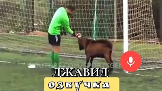 Джавид: Озвучка Футбола