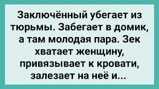 Заключенный Сбежал из Тюрьмы! Сборник Свежих Смешных Жизненных Анекдотов!mp4