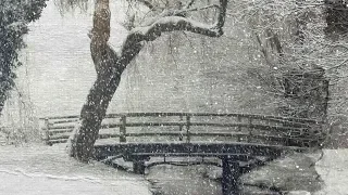 Peaceful Relaxing Instrumental  Music, Beautiful Nature Music "Snowy Paths" by Tim Janis