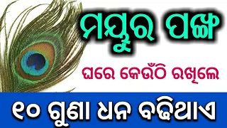 ( ମୟୁର ପଙ୍ଖ ) ଘରେ କେଉଁଠି ରଖିଲେ ଧନ ବଢିଥାଏ |Odia bayagita tips#Ajiraanuchinta#SADHUBANI#Pickockfeather