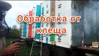 Как можно обработать пчел от  клеща варроатоза и акарапидоза.