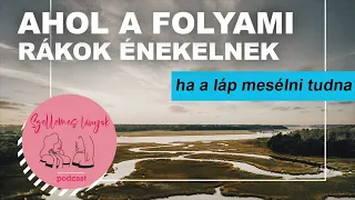 5. rész - Ahol a folyami rákok énekelnek - Ha a láp mesélni tudna - Szellemes lányok podcast