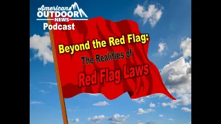 Beyond the Red Flag: The Realities of Red Flag Laws