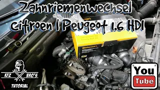 Citroen Berlingo Multispace 1.6 HDI | Zahnriemenwechsel + Wasserpumpe | Replace a Timing Belt