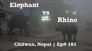 Rhino vs Elephant | Chitwan National Park | Ep# 181