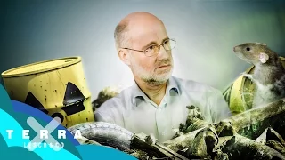 What to do with nuclear waste? | Harald Lesch