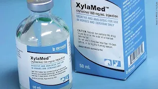 White House designates Xylazine-fentanyl combination as national threat