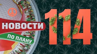 Каннабис на День влюблённых. $142К специалисту по траве. Белки ищут ганджу. Новости по плану №114