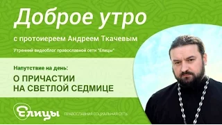 О Причастии на Светлой седмице. Протоиерей Андрей Ткачев. Поститься нельзя, а причащаться нужно