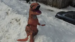 A Dino on skates