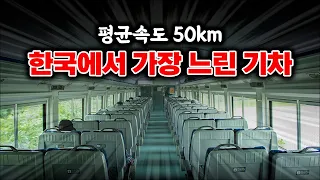 구불구불 단선 철길의 매력! / 경북선 무궁화호 전 구간 탑승기