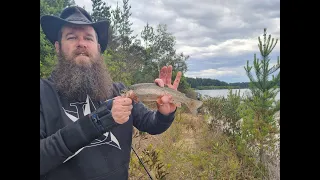 Devilbend Reservoir late December Trout Fishing