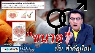 "ขนาด" นั้น สำคัญไฉน | จั๊ด ซัดทุกความจริง | ข่าวช่องวัน | one31