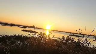 Охота на уток в Якутии! Вторая часть. Вилюйск. Duck Hunting in Yakutia! FULL HD! 2022г.