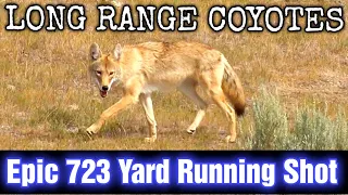 Long Range Coyotes (Epic 723 Yard Running Shot) 15 Down 6.5 Creedmoor