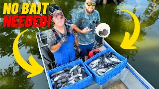 Catch THOUSANDS of CATFISH with NO BAIT! (Cheap & Simple Method!)